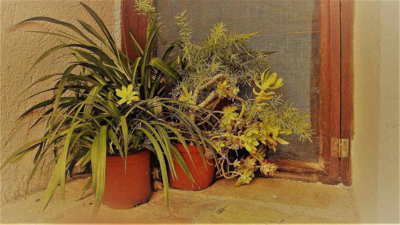 Villa Ca Lesperrucat Acogedora Casa De Pueblo Tranquila Y Bien Comunicada à Argelaguer Extérieur photo